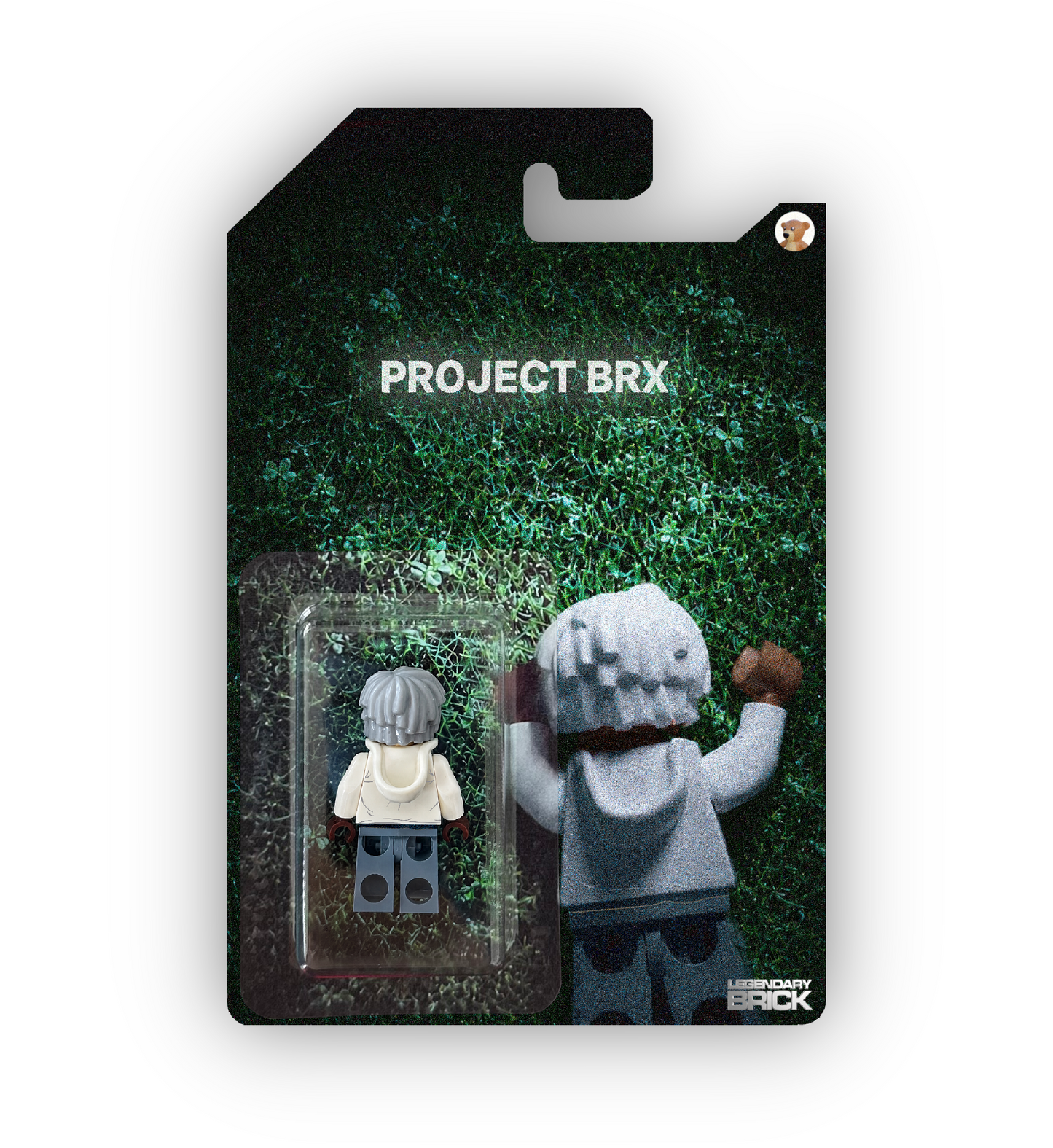 Project BRX