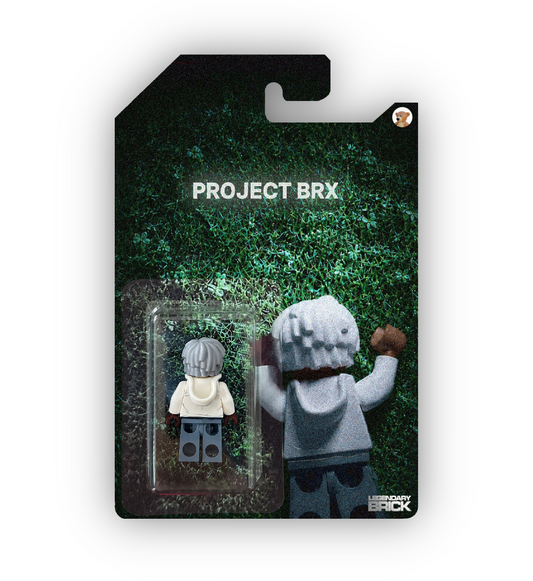 Project BRX